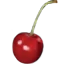 Cherry Corals
